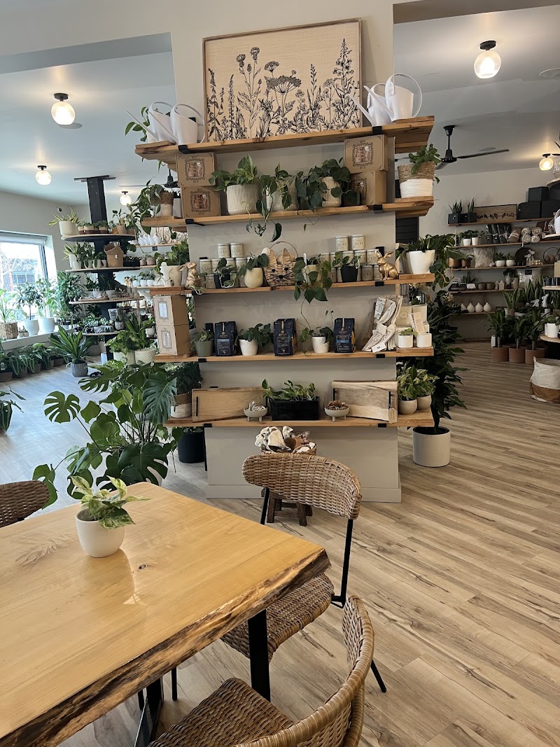 The Guest House photo 3