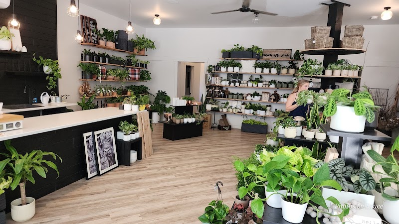 The Guest House photo 3