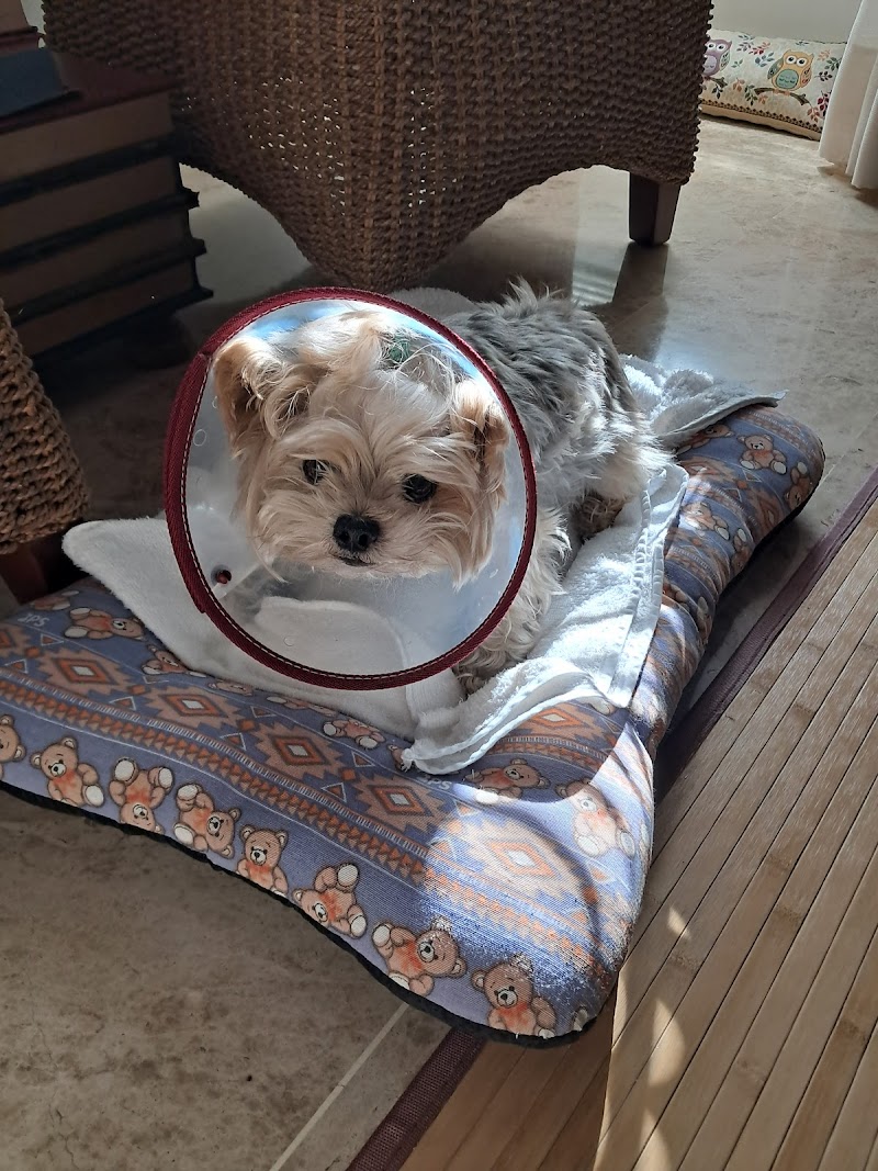 Clínica Veterinaria Granada