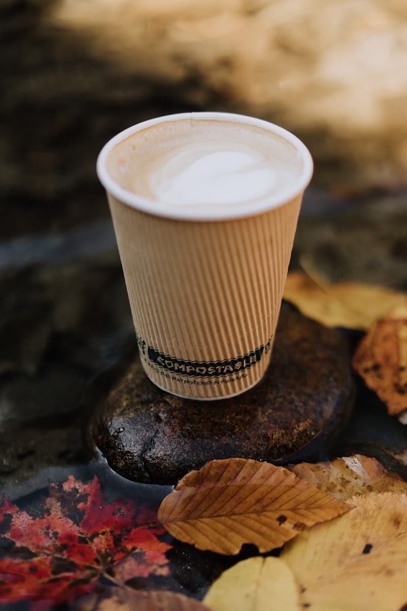 Stonefly Coffee photo 3