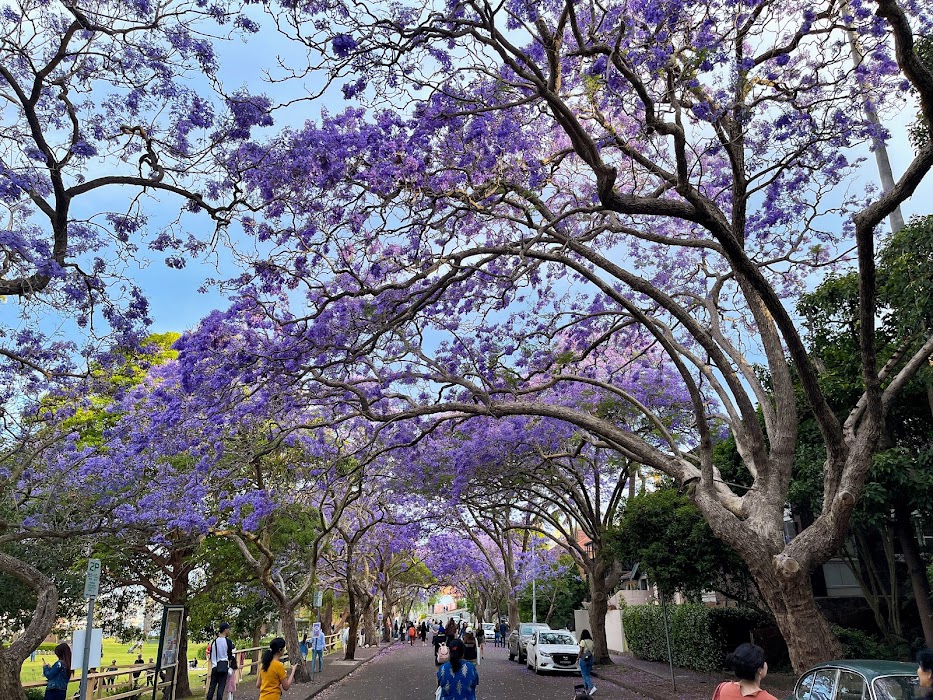 Milson Park fotoğraf 1