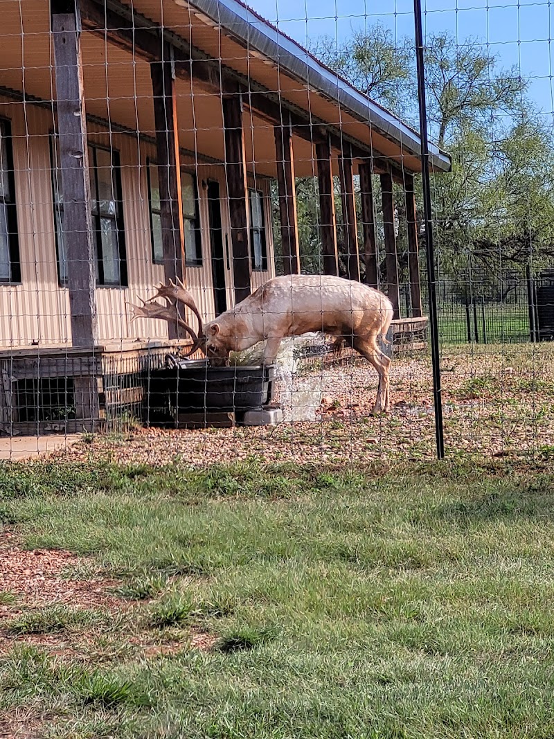 Sandstone Mountain Ranch - Photo 2