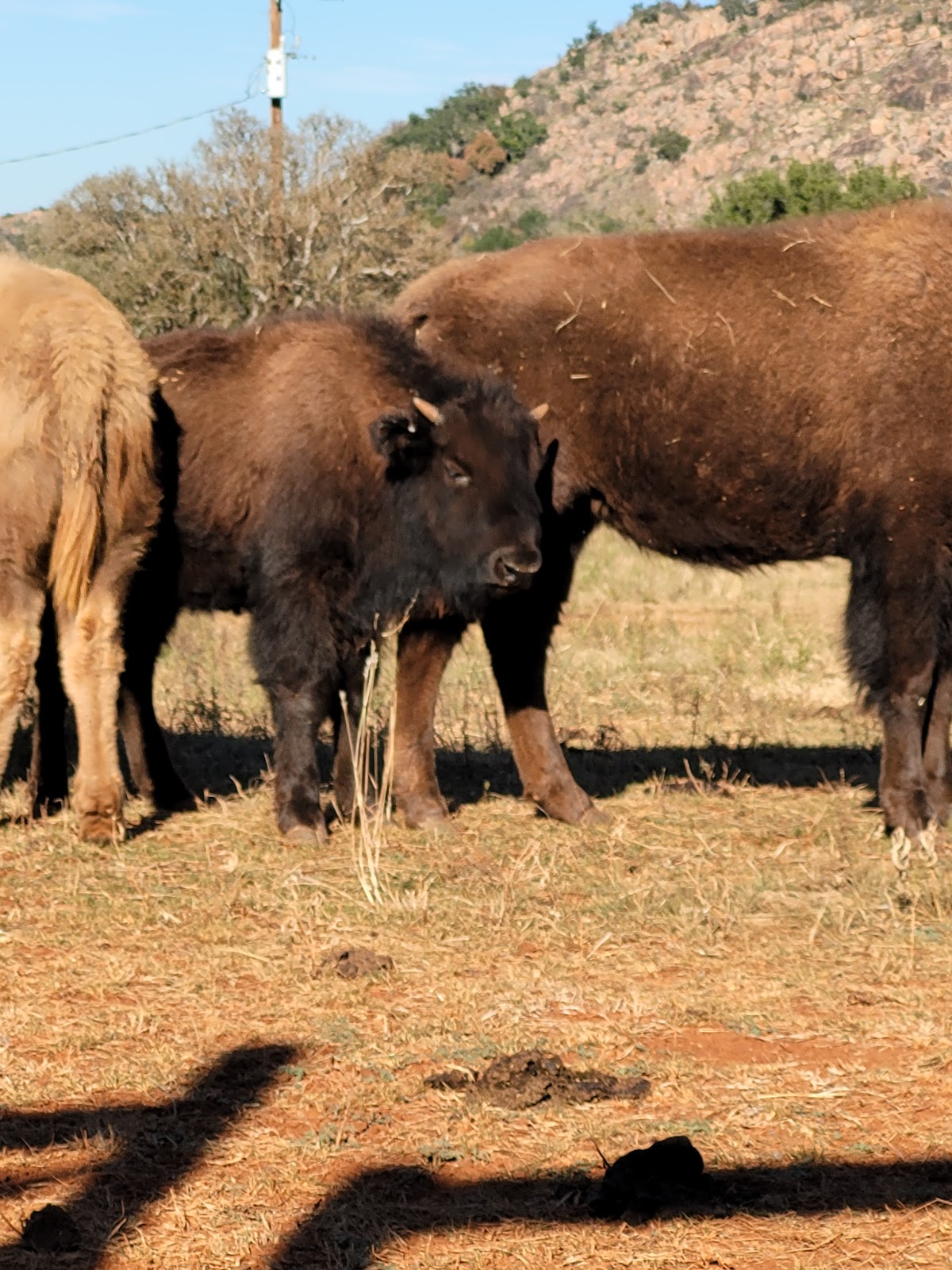 Sandstone Mountain Ranch