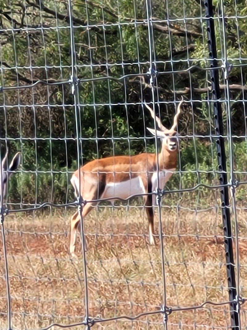 Sandstone Mountain Ranch - Photo 6