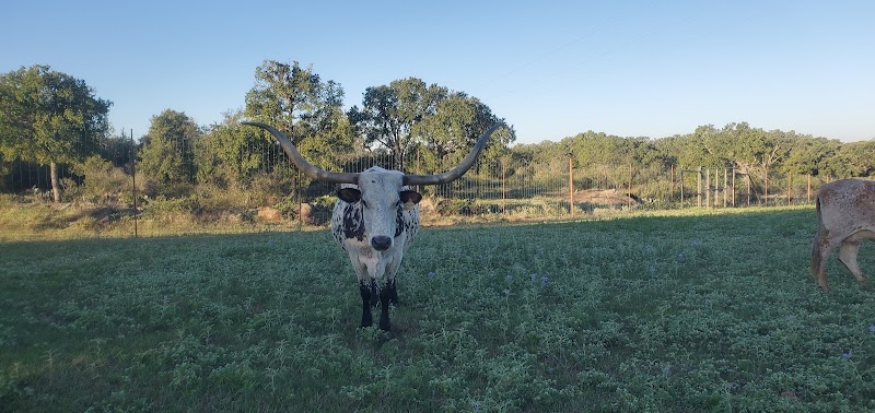 Sandstone Mountain Ranch - Photo 4