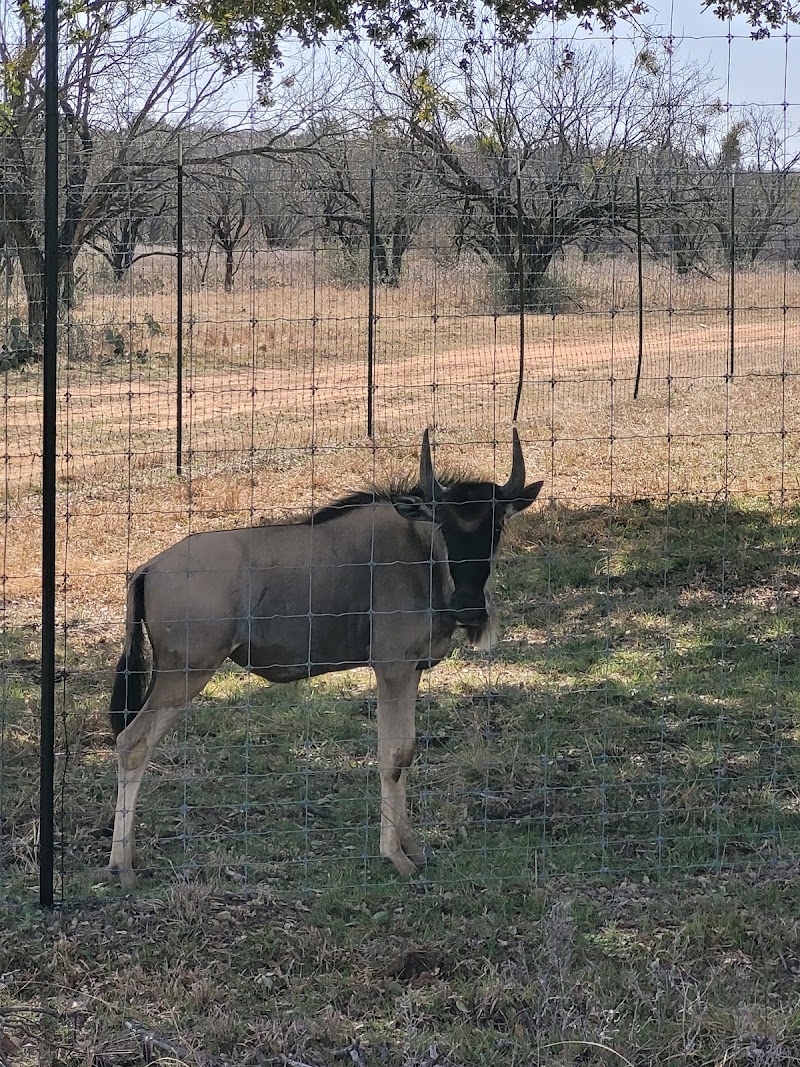 Sandstone Mountain Ranch - Photo 1