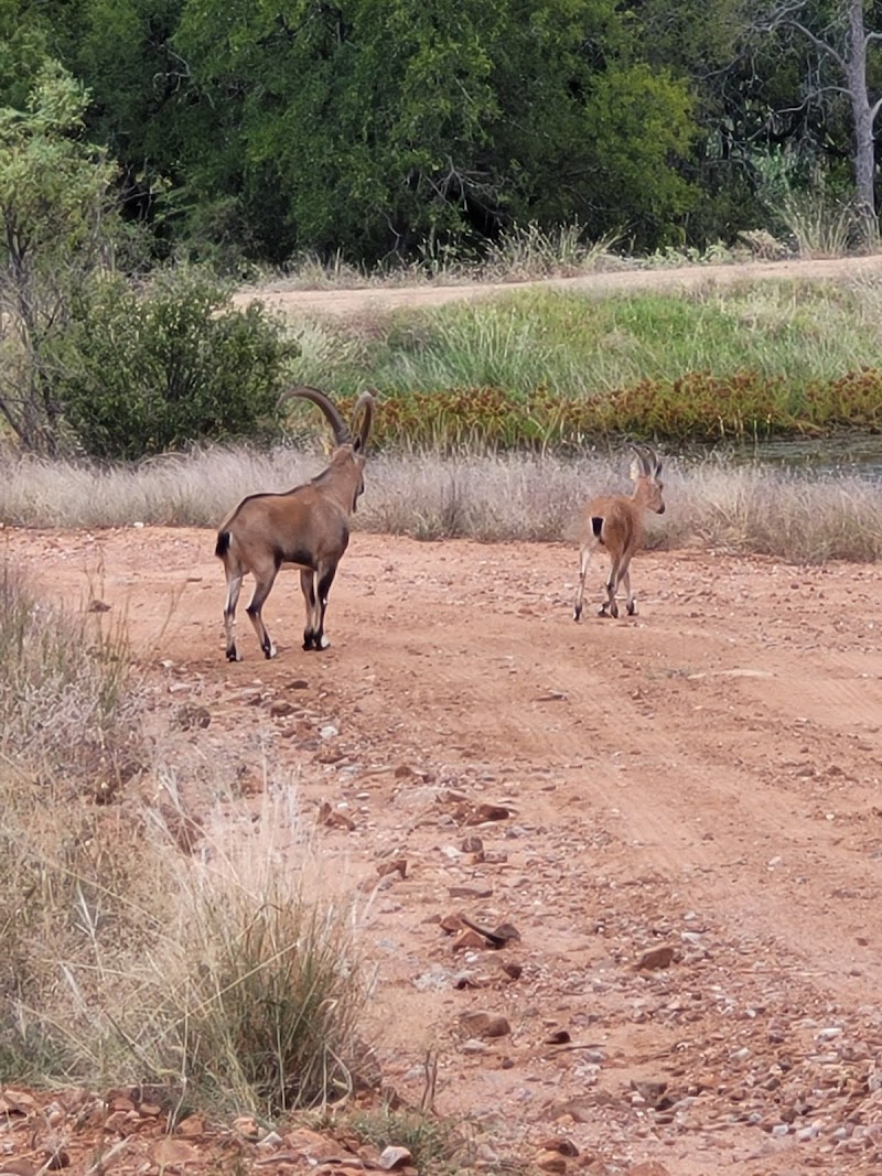 Sandstone Mountain Ranch - Photo 5