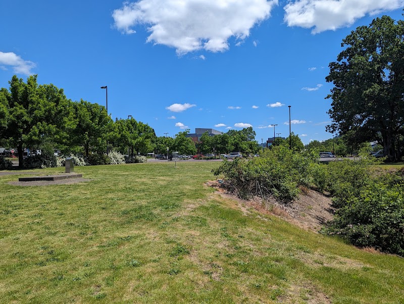 CCC-Harmony Disc Golf Course photo 4