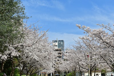 Utsubo Park - 4