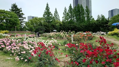 Utsubo Park - 6