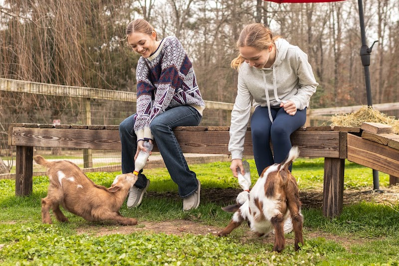 Goat Daddy's Farm and Animal Sanctuary - Photo 5