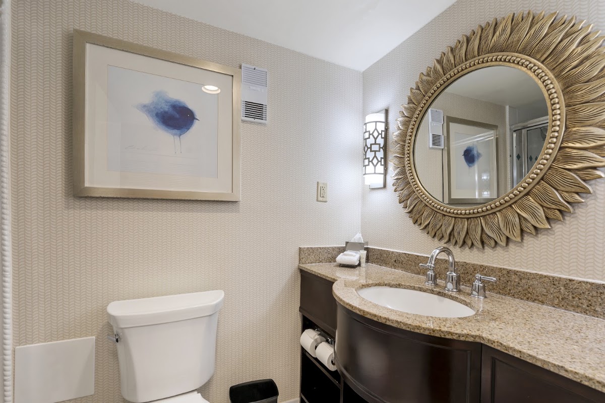 Charleston Marriott, dog-friendly hotel, photo 3