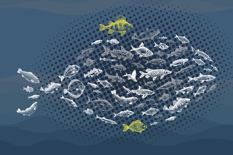 Valdelvira de Servicios Veterinarios