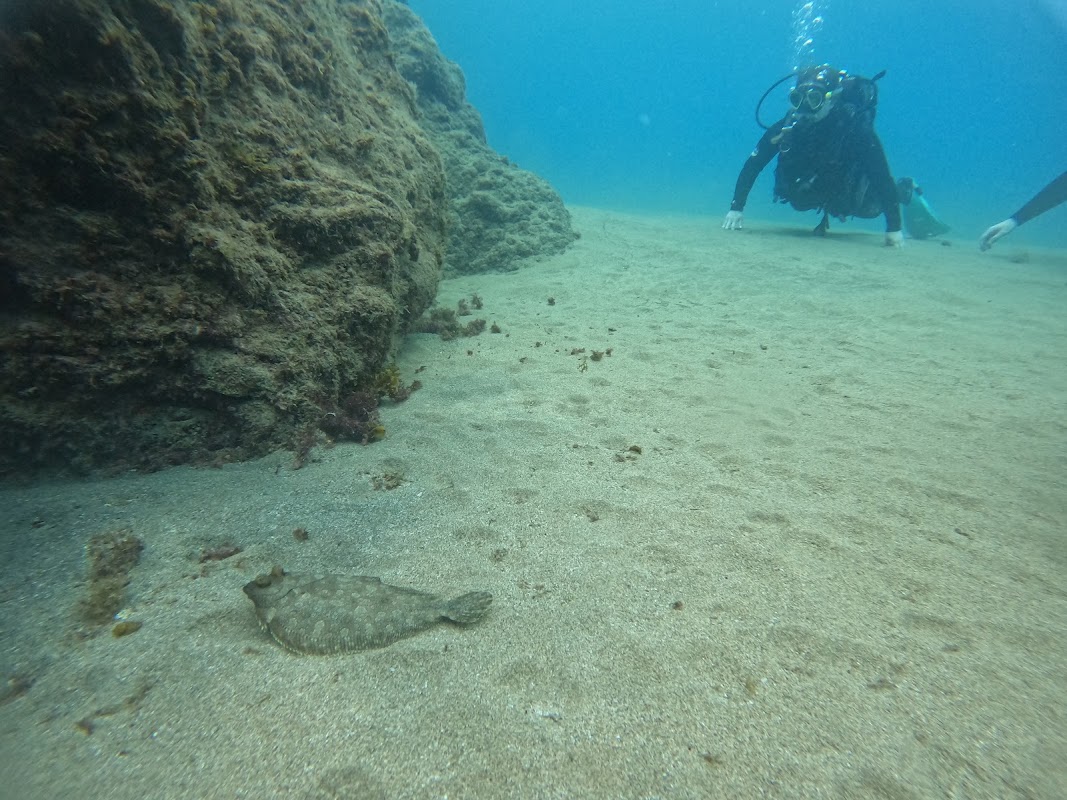 Scuba Diving at Playa Chica photo 3