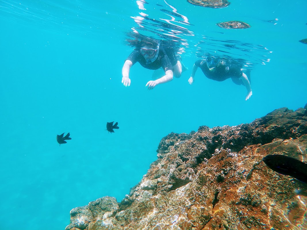 Scuba Diving at Playa Chica photo 2