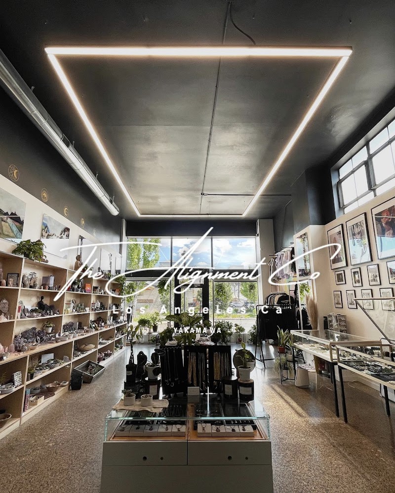 The Alignment Co photo 1