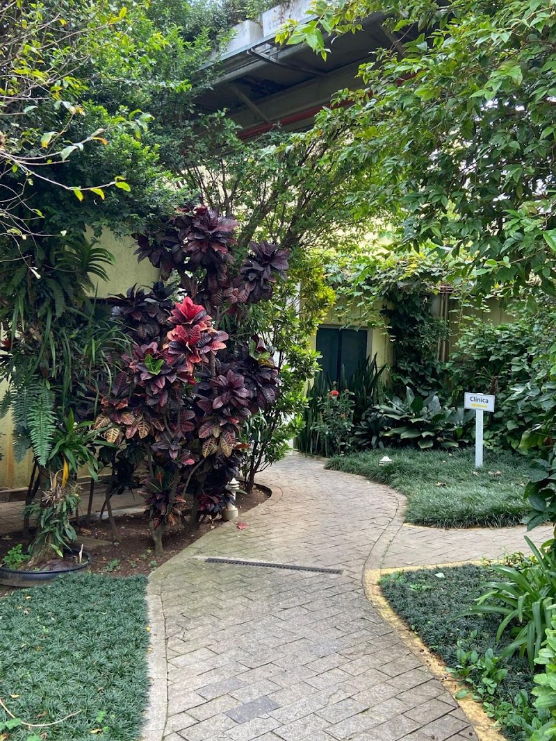 Clinica Dente de Leite