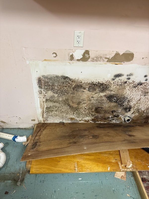 Mold Doctor Pro — photo