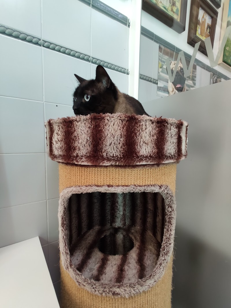 Clínica Veterinaria Gerardo Rojo