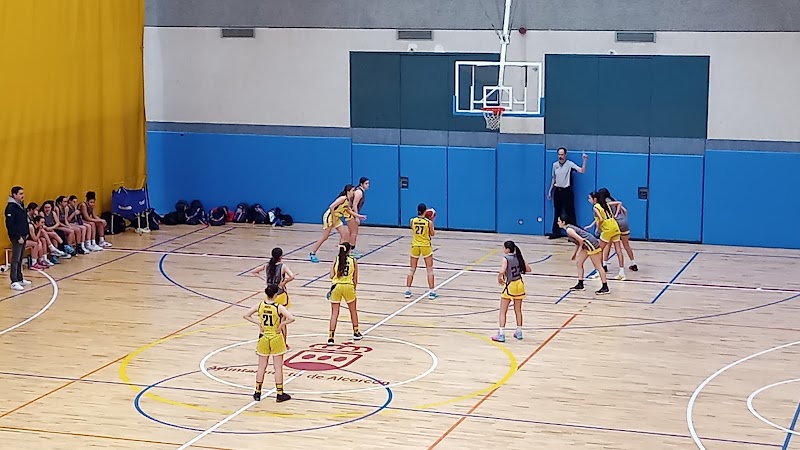 Cde Halcones Arroyofresno