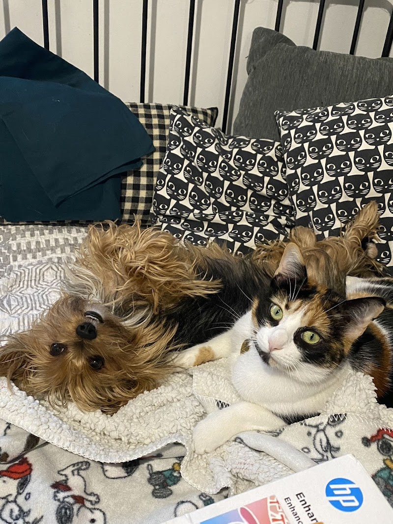 Clínica Veterinaria Entre Mascotas