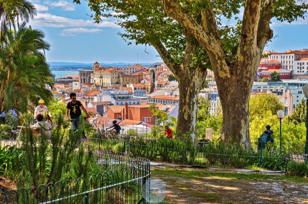 Jardim do Torel fotoğraf 1