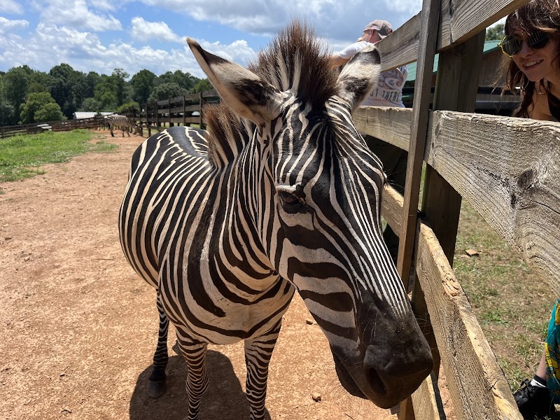 Chestatee Wildlife Preserve & Zoo - Photo 2