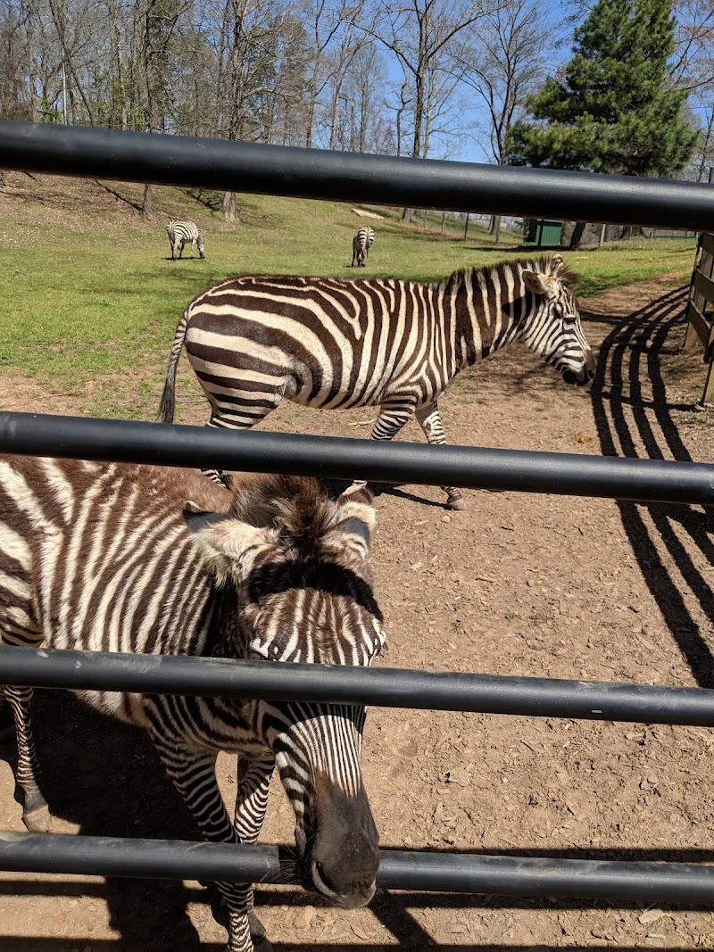 Chestatee Wildlife Preserve & Zoo - Photo 1