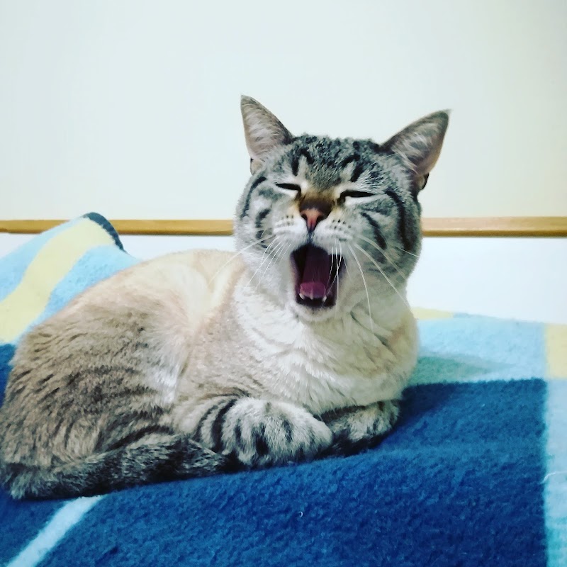 Clínica Veterinaria Pérez Galdós S.L.P.