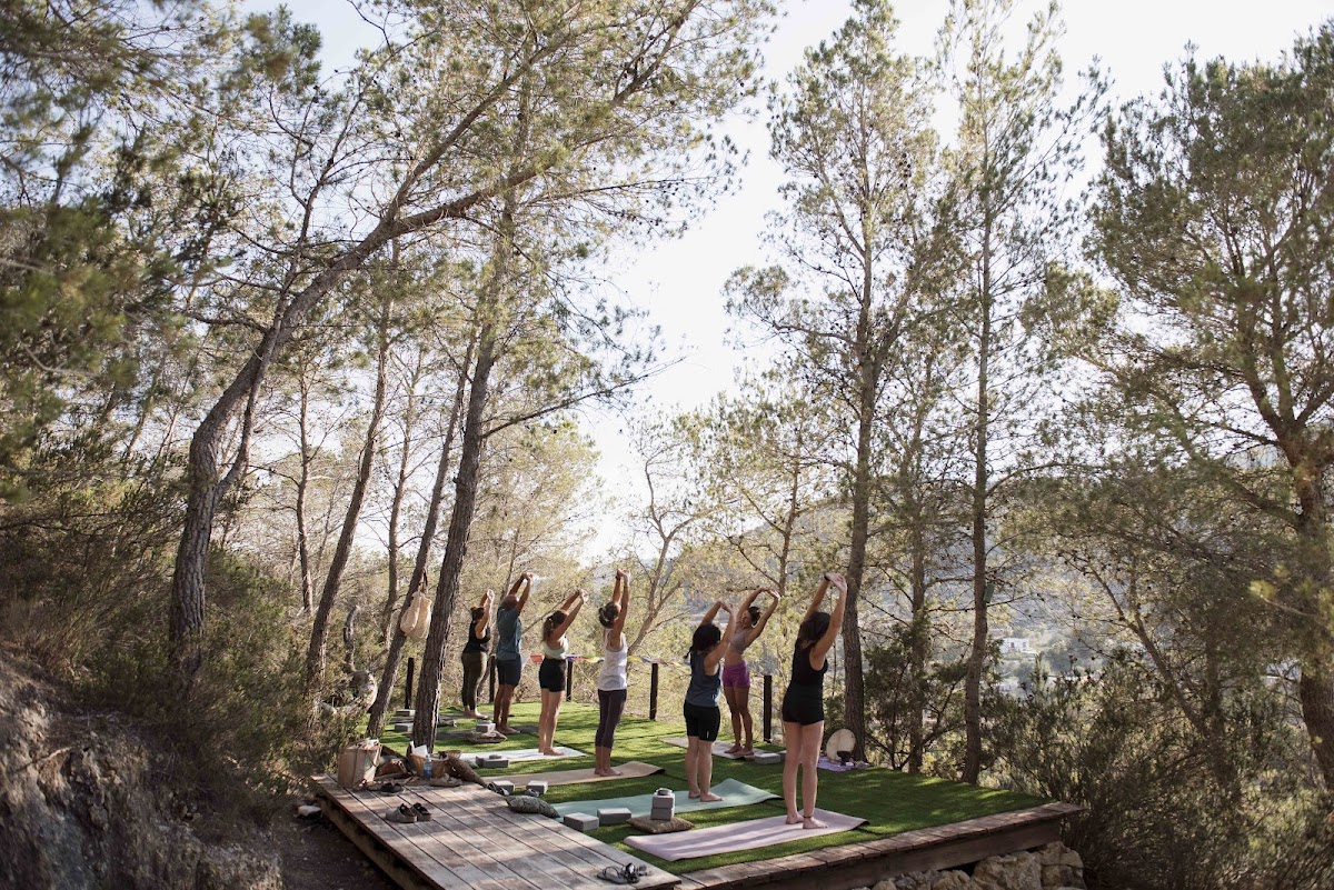 Yoga Punto Can-Pal