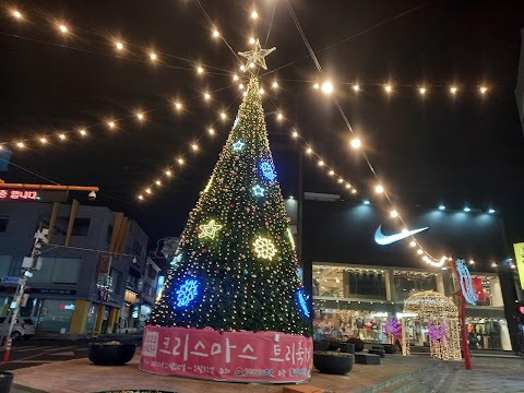 청년백범김구 역사거리 사진 5
