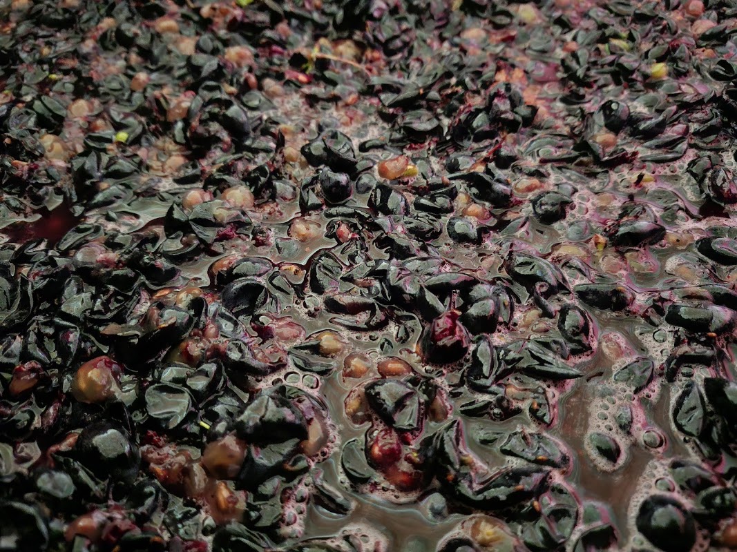 Cantina Bello