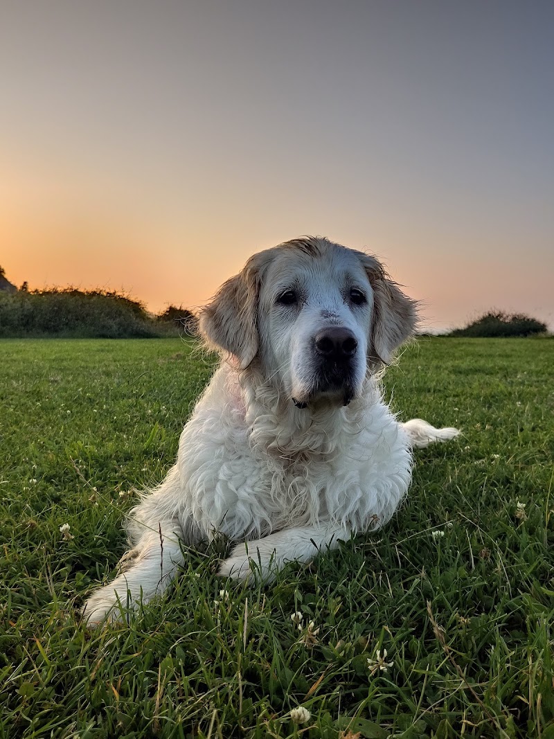 Centro Veterinario Ordosgoiti