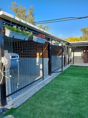 באלו - מלון בוטיק לכלבים