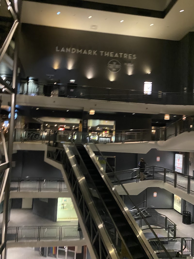 Game Night Out - Chicago photo 10