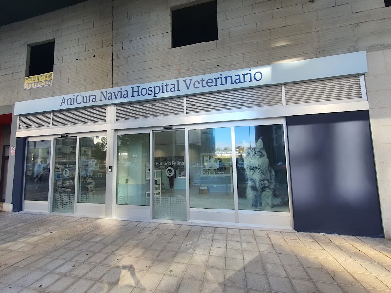 AniCura Navia Hospital Veterinario photo 1