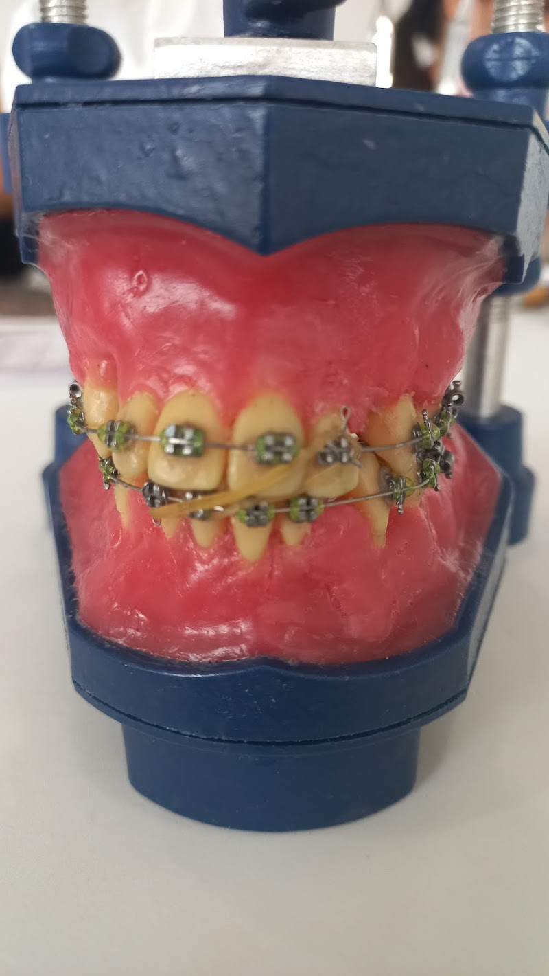 Clínica A Magia do Sorriso Premium - foto 5