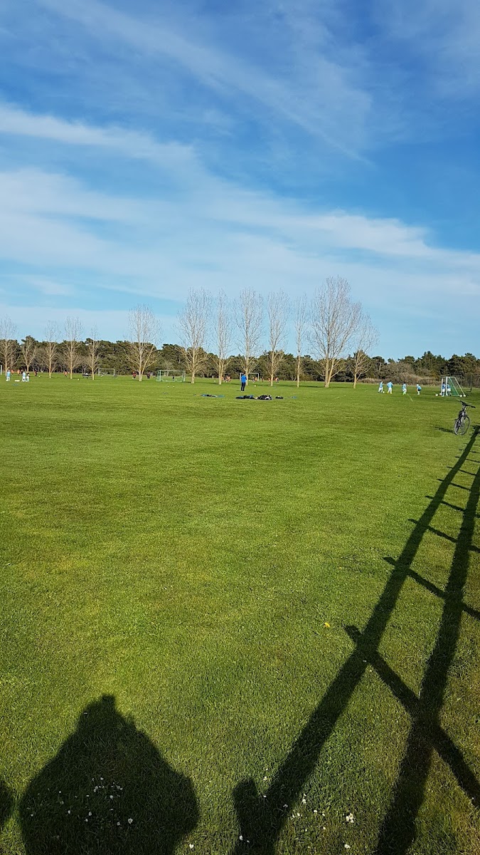 Mohammad Alabbasi