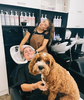 Cole & Co Hair-Studio photo 2