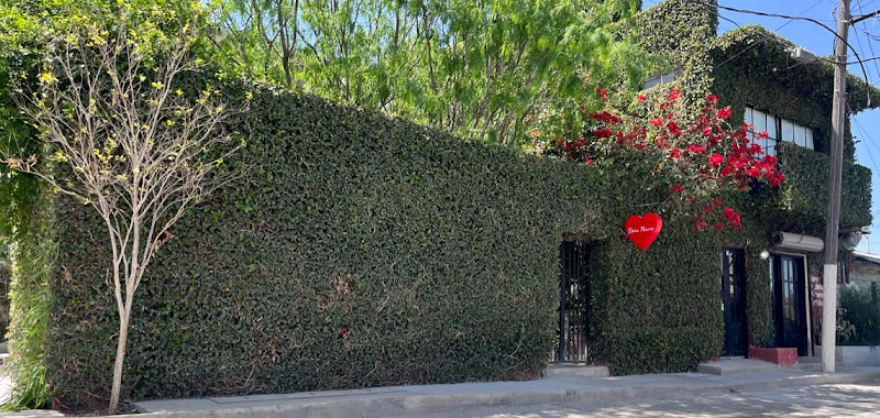 Doña Maura - Brunch, Lunch, tamales & Banquetes. ️ photo 4