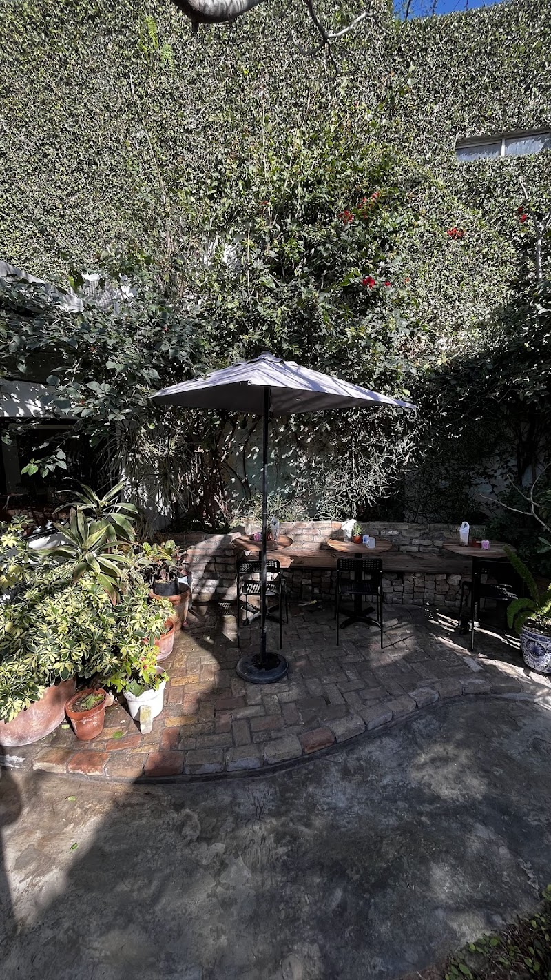 Doña Maura - Brunch, Lunch, tamales & Banquetes. ️ photo 1