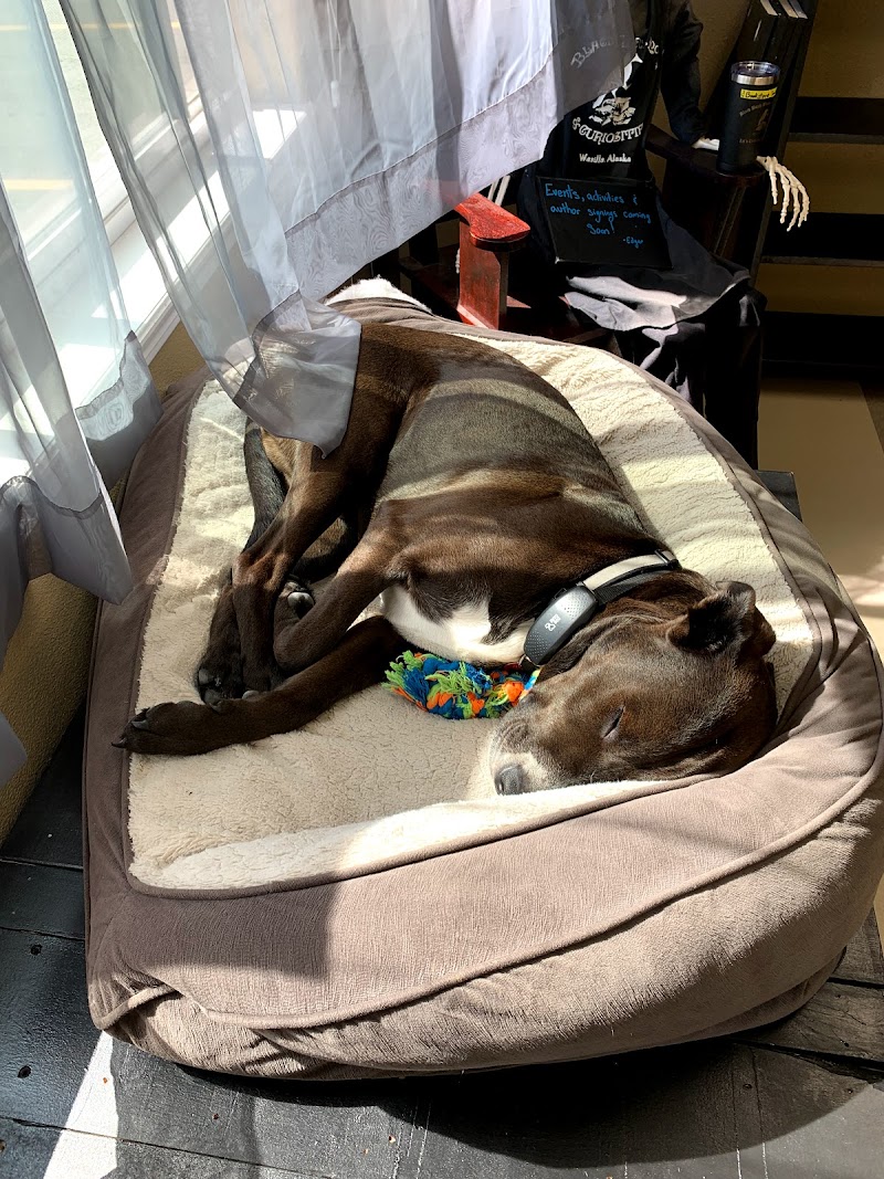 Black Birch Books photo 4