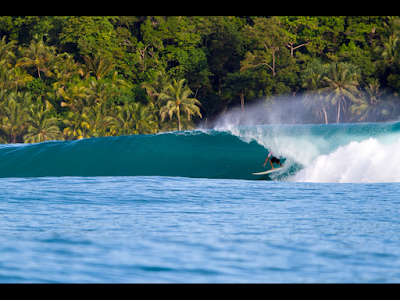 Outer Island Surfboards logo