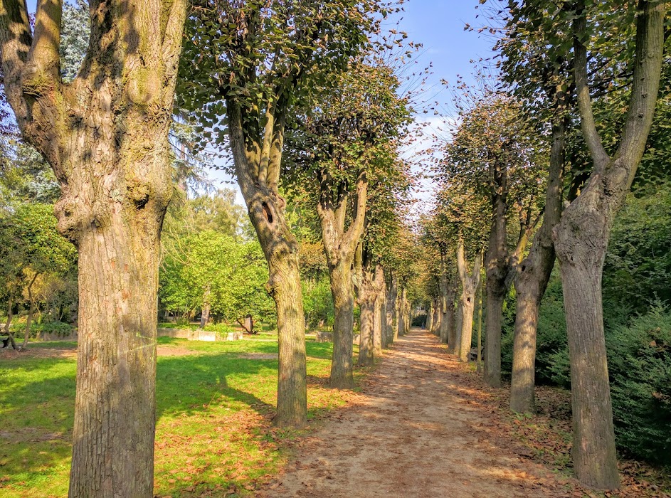 Wohlers Park (ehemaliger Norderfriedhof) fotoğraf 1