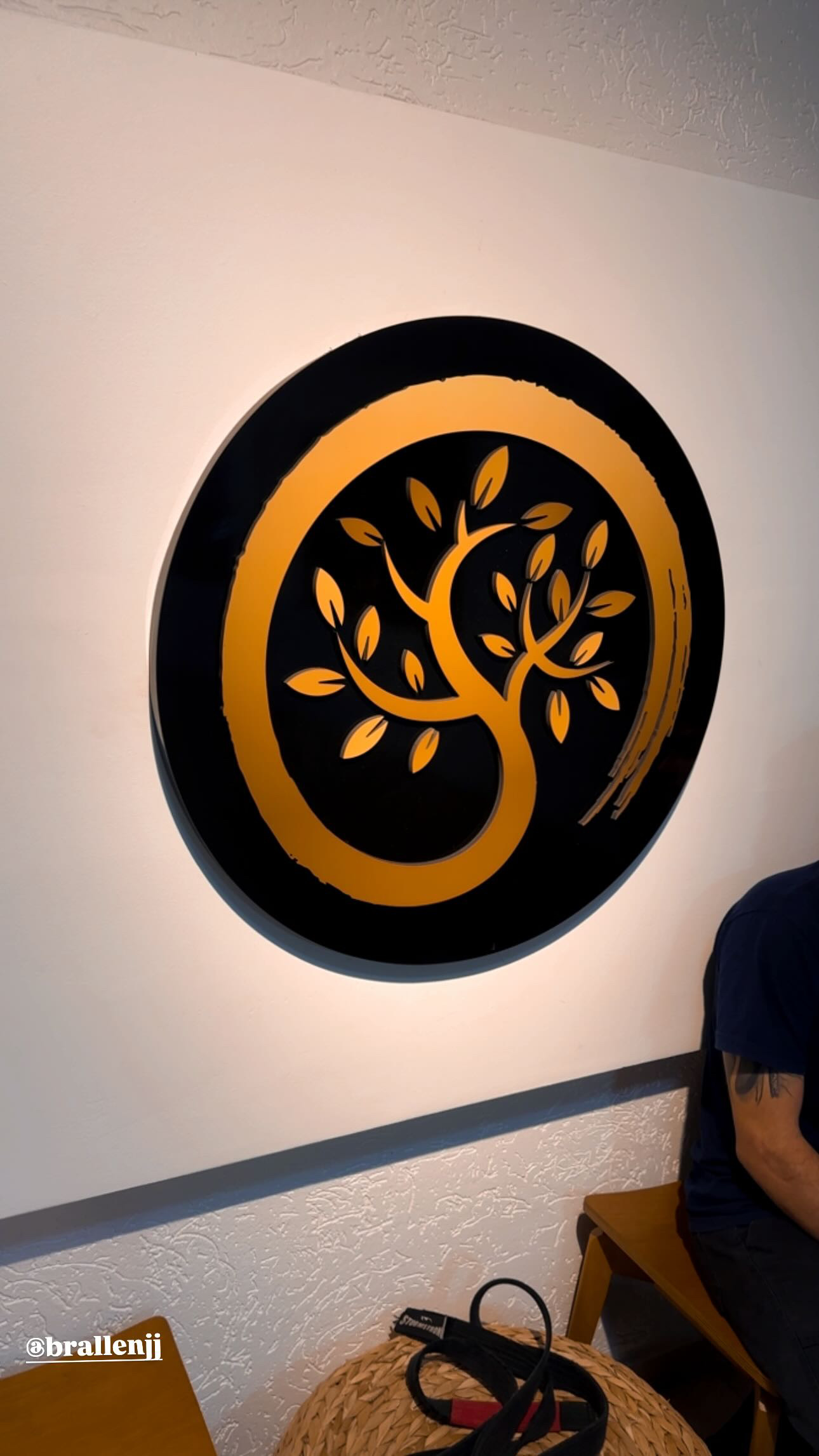 Brallen Jiu-Jitsu Londrina - Foto 1