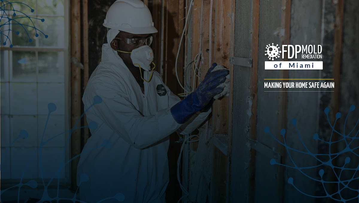 FDP Mold Remediation of Miami — photo