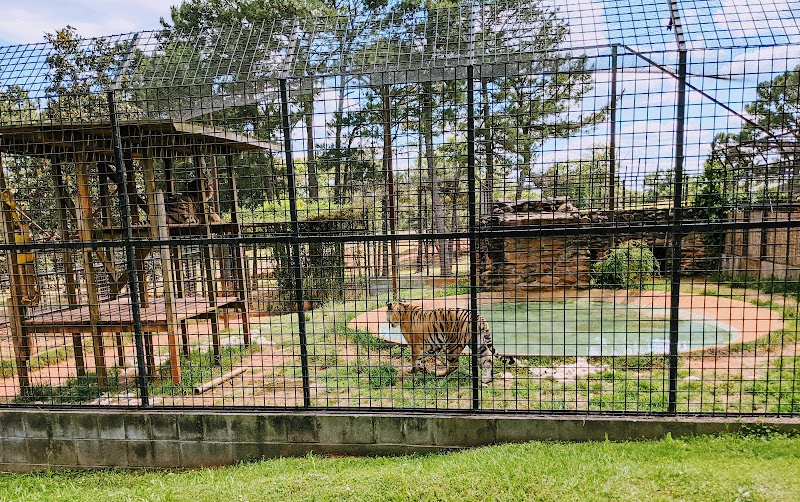 Wild Animal Safari - Pine Mountain, Georgia - Photo 5