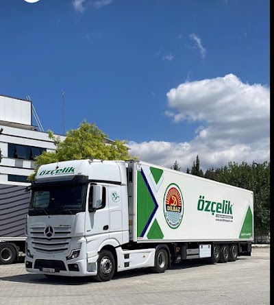 Özçelik Transport İth. İhrc. San. ve Tic. Ltd. Şti. - Nakliyat