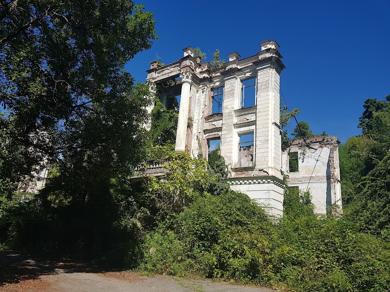 Дворец князя Смецкого