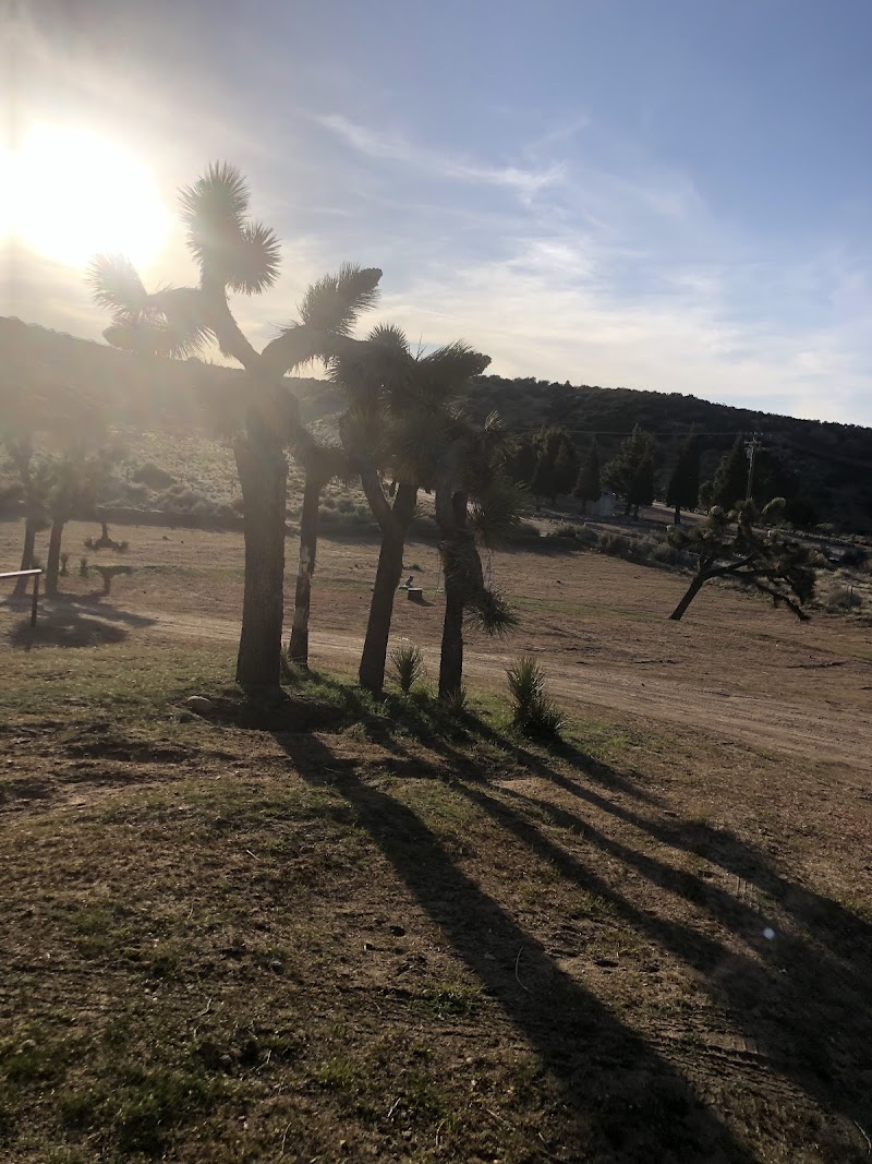 Double Barrel Desert Ranch